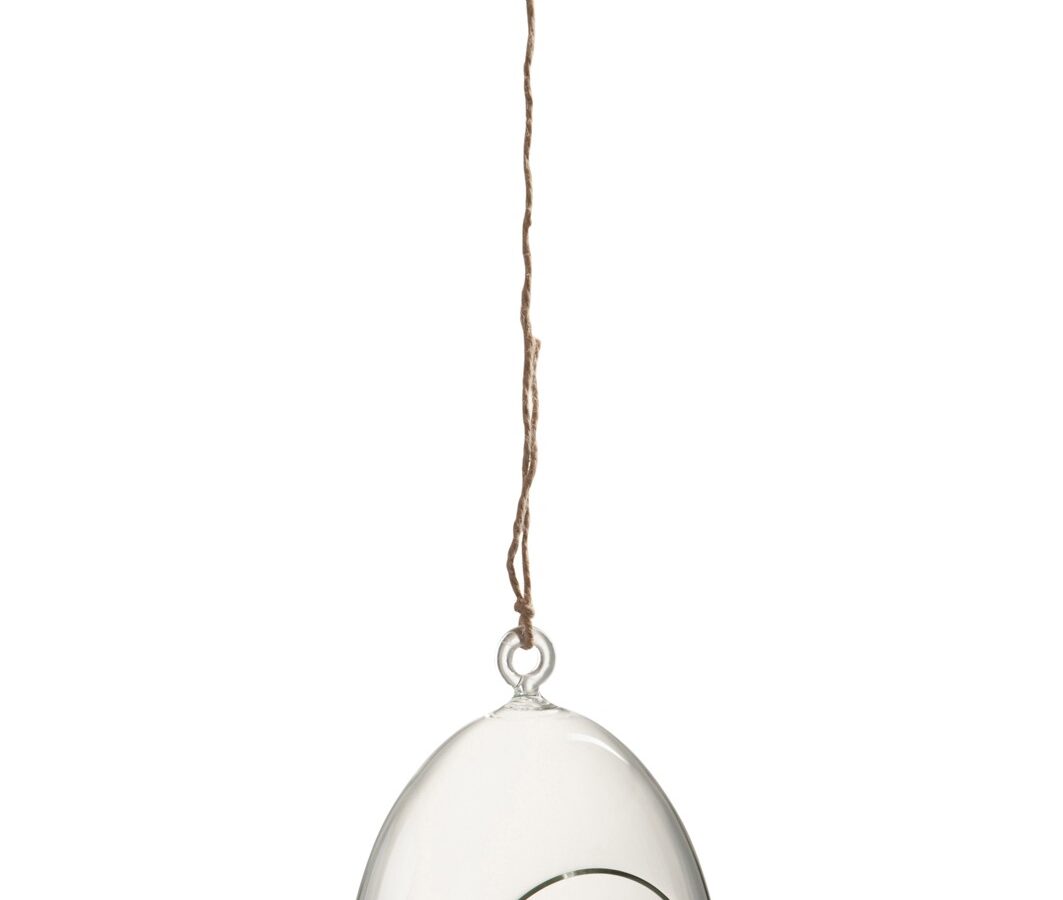 Vaas hangend ei glas 13 x 18 cm / Terrarium