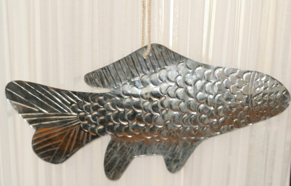 Vis atlantic metaal aan koord