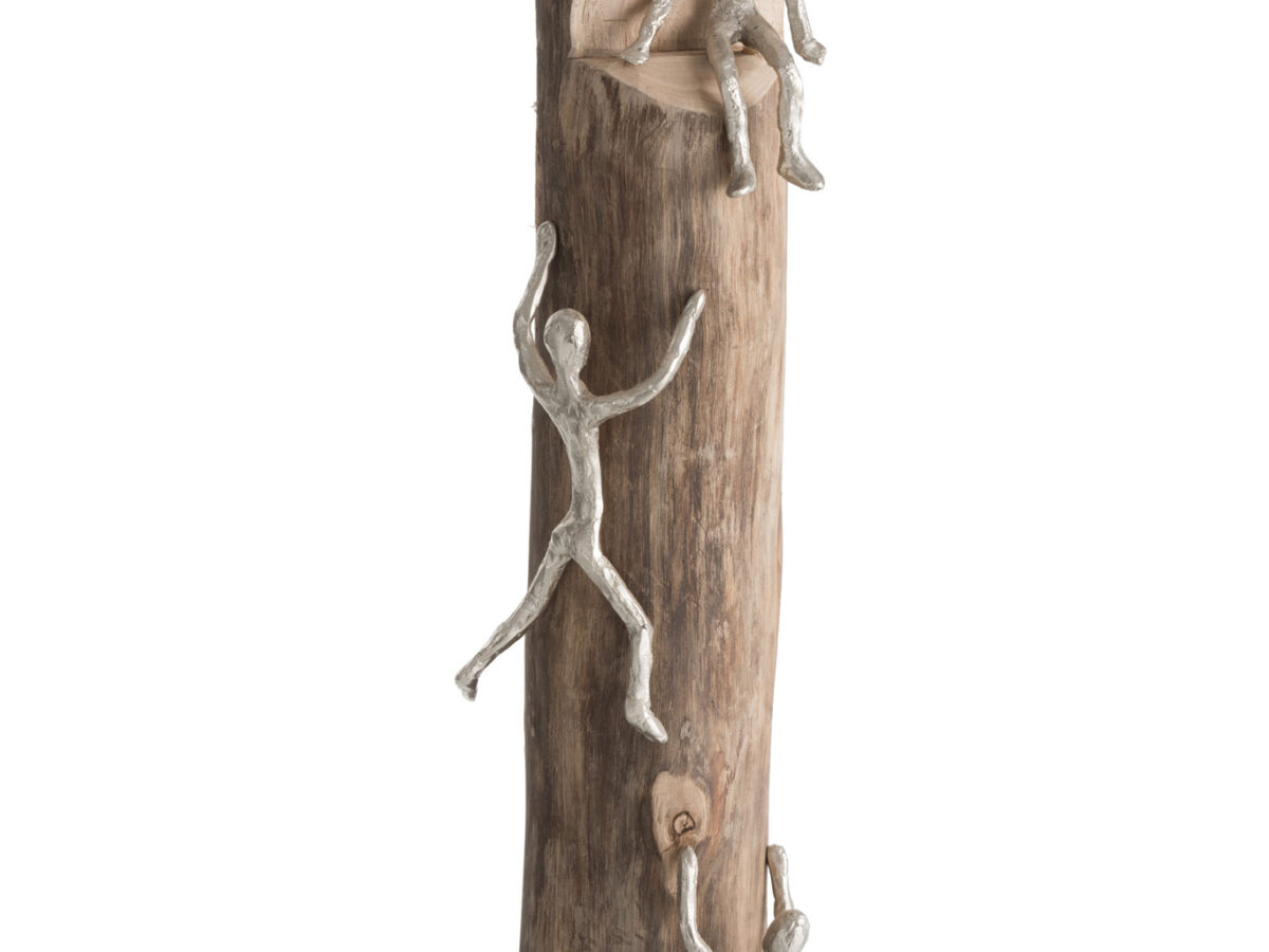 Figuur 3 Klimmers Hout/Aluminium Natuur/Zilver