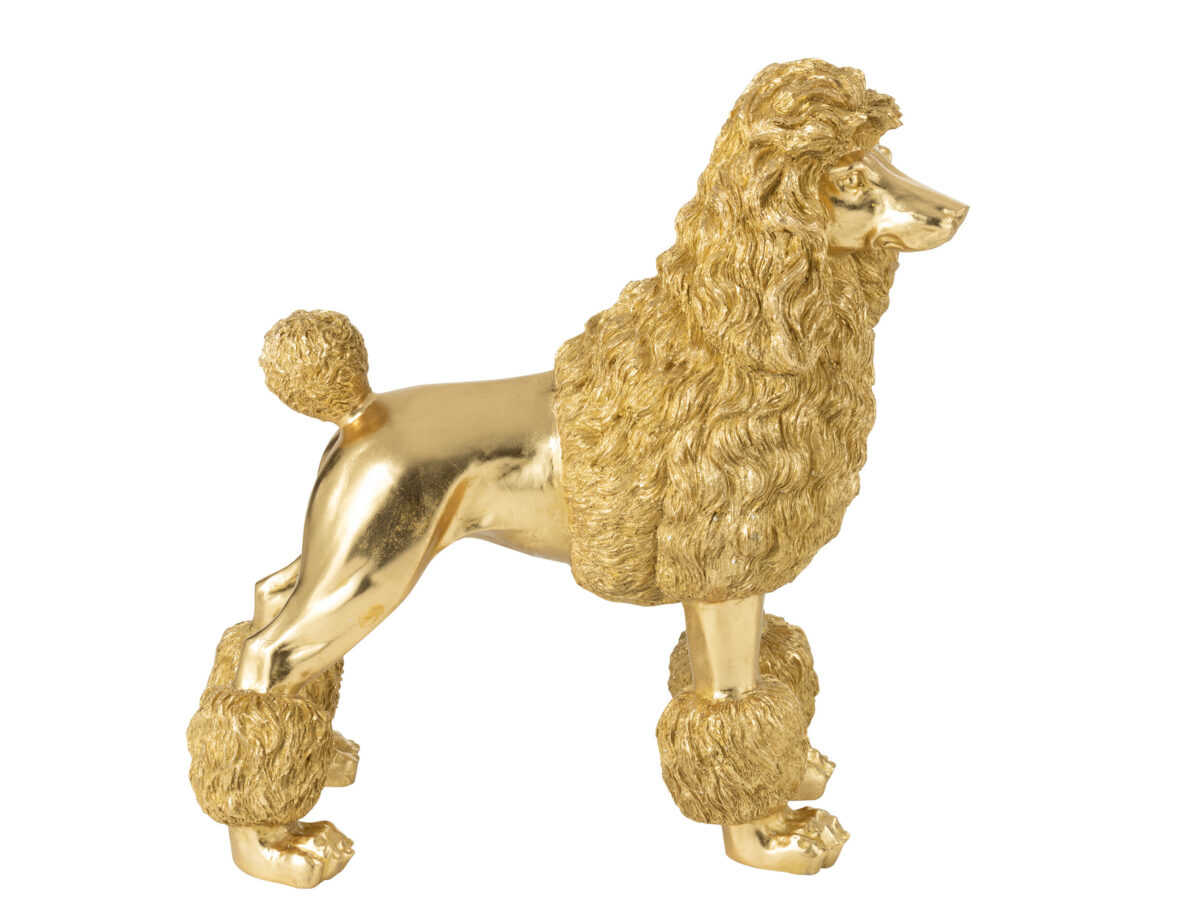 Poedel Staand Goudkleurig Extra Groot