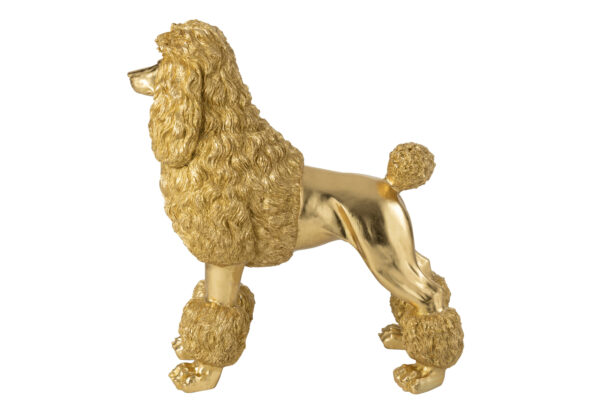 Poedel Staand Goudkleurig Extra Groot