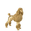Poedel Staand Goudkleurig Groot