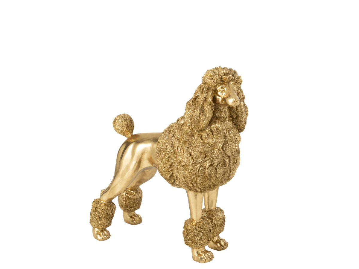 Poedel Staand Goudkleurig Groot