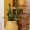 Set van 3 manden Lucie Raffia Nature