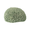 Decoratief Koraal Polyresin Mintgroen