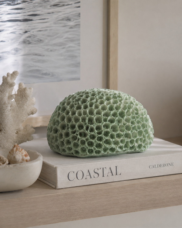 Decoratief Koraal Polyresin Mintgroen